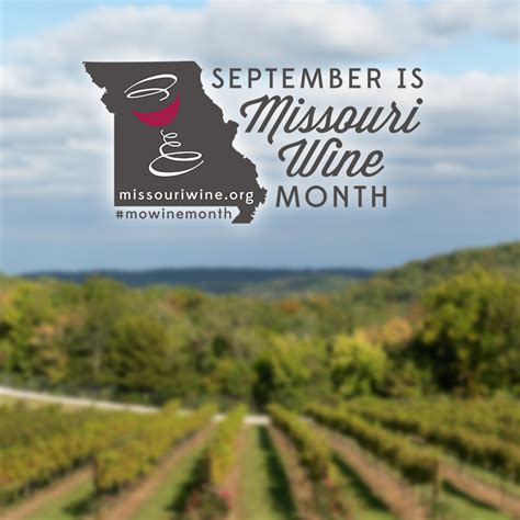 10 Ways To Celebrate Missouri Wine Month Mo Wine