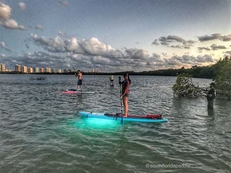 Stand Up And Shine Night Sup Paddle Boarding Glow Tour With Nocqua Led