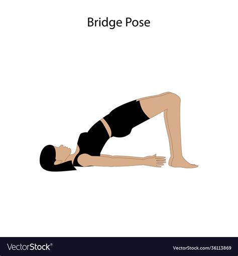 Bridge Pose Yoga Workout Healthy Lifestyle Vector Image