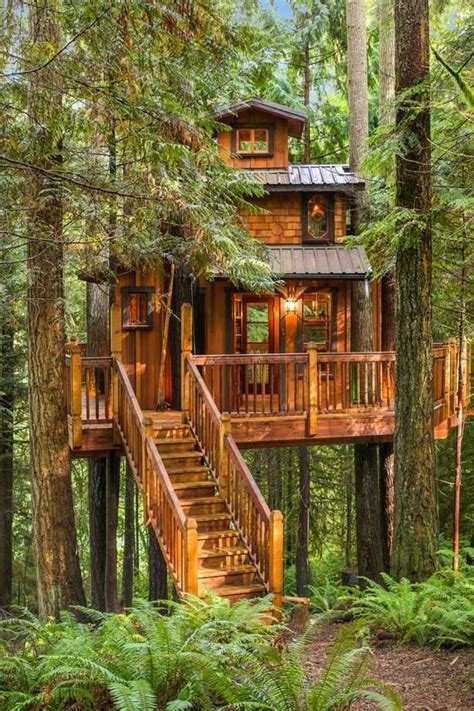 Tree House Plus Normal One For Sale In Woodinville