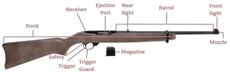 Different Types Of Guns With Names And Pictures Ideabpo
