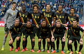 Belgium FIFA World Cup 2014: A soccer (football) , history, coach