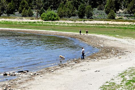 Pet Friendly Cabin Rentals – Destination Big Bear