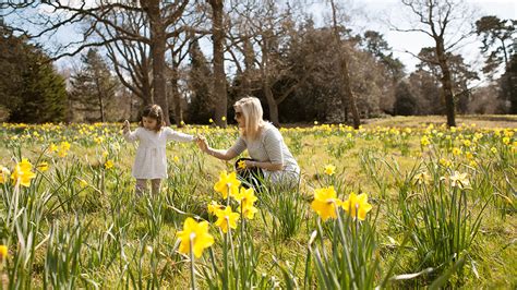 Half Price For Mums On Mother S Day Hampshires Top Attractions