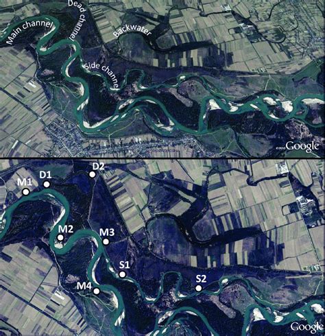 The Anastomosing Riverine Channel System Of The River Tisza Around The