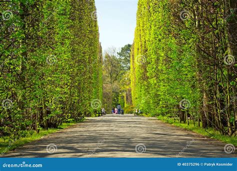 Beautiful Alley In The Park Stock Photo Image Of Bench Landscape