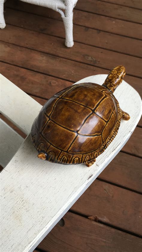 Turtle Turtle Decorative Tray Decor