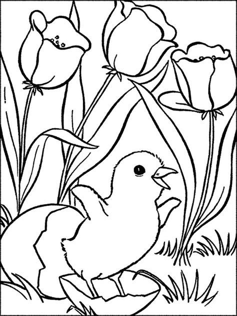gambar mewarnai bunga tulip harian nusantara