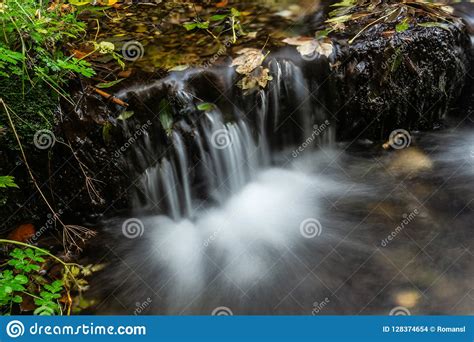 Autumn Landscape With Mountain River Flowing Among Mossy Stones Through