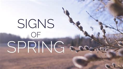 Signs Of Spring Part 1 Youtube