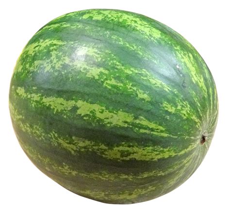 Buah.png ‎(300 × 300 pixels, file size: Gambar Ruia Organic Farms Watermelon Gambar Buah Png di ...