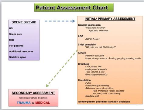 Patient Assessment Ems Emt Study Emergency Medical Responder Emt Basic