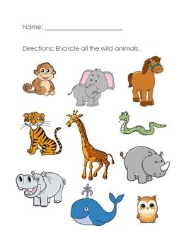 Animals are a popular esl topic especially with young learners and students in primary school. Wild Animals Worksheet by Aileen Chu | Teachers Pay Teachers