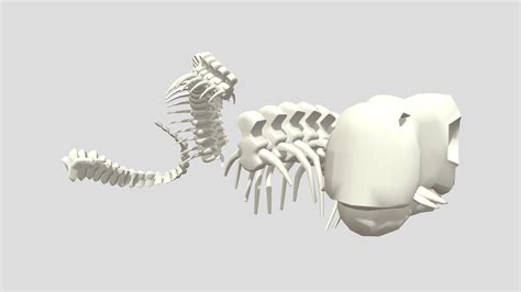 Stylized Dinosaur Bones Download Free 3d Model By Horizon Studio