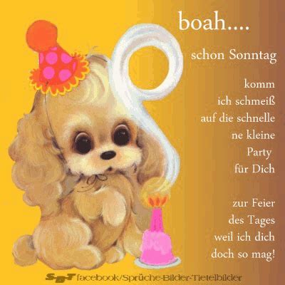 #gutenabend gruß #gutennacht #grüßefürdich #ingrid22kreativ einen traumhaft schönen abend wünsche ich dir. Grüße zum Morgen & zum Tag - animiert (mit Bildern ...
