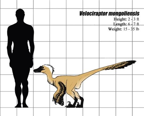 Who Wins In A Fight A Velociraptor Or A Crocodile Quora