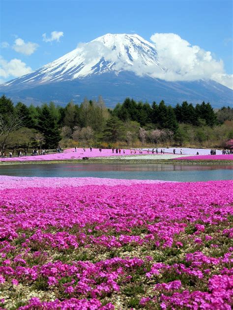 11 Awesome And Outstanding Places To Visit in Japan - Awesome 11