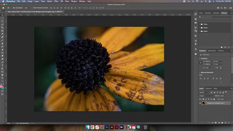 How To Use The Color Transfer Neural Filter In Adobe Photoshop