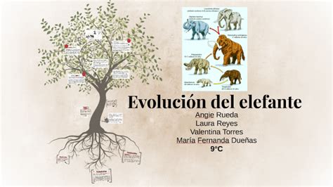 Evolución Del Elefante By Angie Viviana Rueda Perez On Prezi