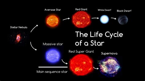 Life Cycle Of A Star By Allen S On Prezi
