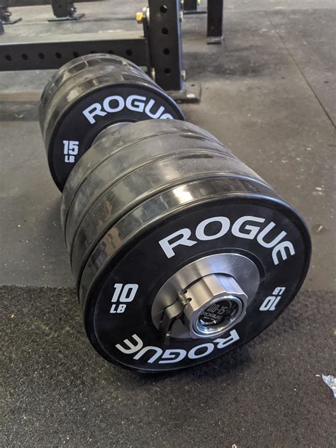 Rogue Loadable Dumbbells With Bumpers Loaded To 125 Lbs The Rogue Site