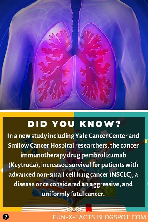 Immunotherapy Drug Shows Potential To Cure Advanced Lung Cancer
