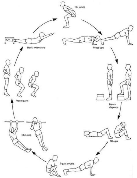Best Fitness Circuits Images Circuit Training Fitness Strength Workout