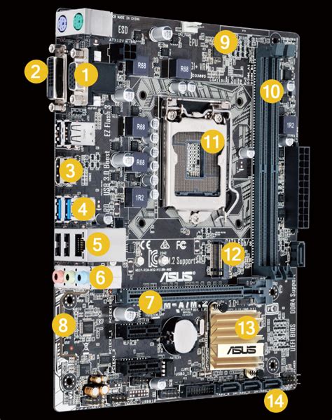 H110m Am2 Motherboards Asus Usa