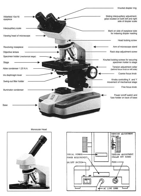 14 Best Images Of Microscope Worksheet Paragraph Light