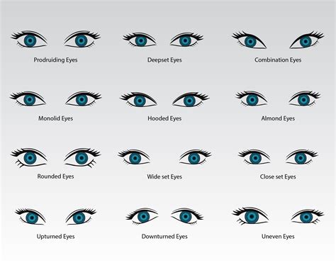 human eyes vectors eye types collection eye shapes eye etsy israel
