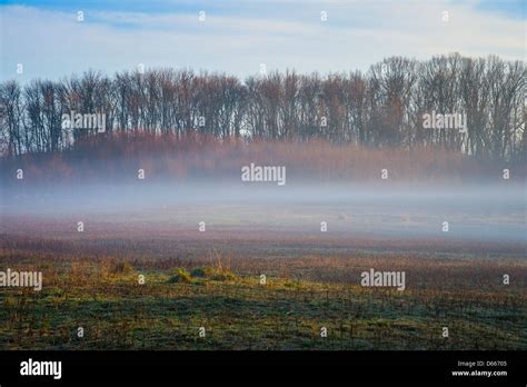 Ground Fog In Field Early Morning Stock Photo Alamy
