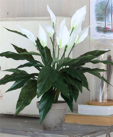Out Of This World Silk Peace Lily Plant Amazon Fake Potted Plants