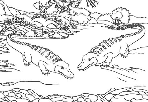 Swamp Animals Coloring Pages At Free Printable Colorings Pages To Print And Color