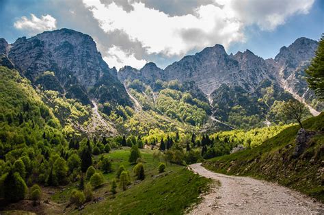 A Glorious View Of The Little Dolomites Sentiero Dei Grandi Alberi