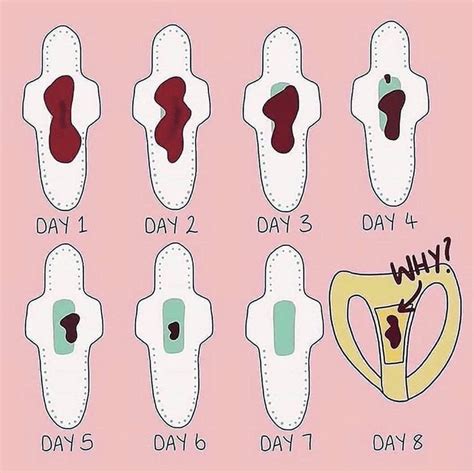 Is It Normal To Have Your Period For 3 Weeks Menorrhagia Symptoms