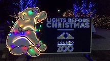 Motion Christmas Lights (The Lights Before Christmas - Toledo Zoo ...