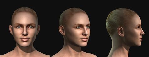 3d Heads For 3d Charactor Creation Realistic Human 100