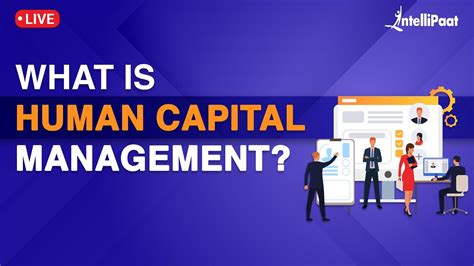 Human Capital Management For Beginners What Is Human Capital