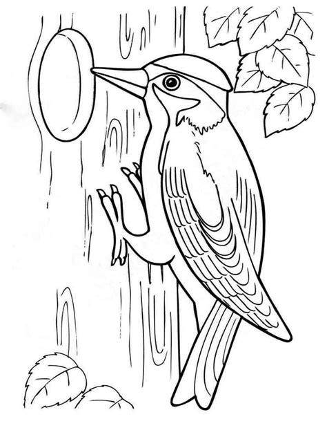 We did not find results for: Woodpecker coloring pages. Download and print Woodpecker ...
