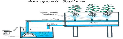 Hydroponic Passion Diy Deep Water Culture Dwc System