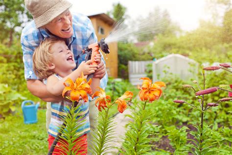 How To Properly Water Your Garden With Water Systems Home Water