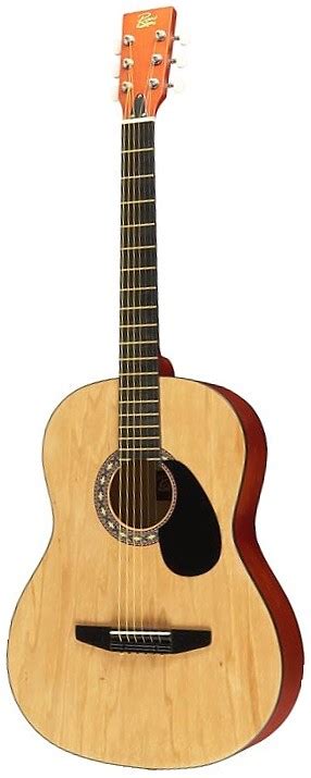 Rogue Starter Acoustic Guitar Review