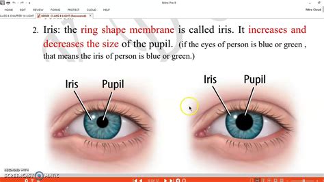 Human Eye Parts And Functions In Hindi Corneaoptic Nerve Parts