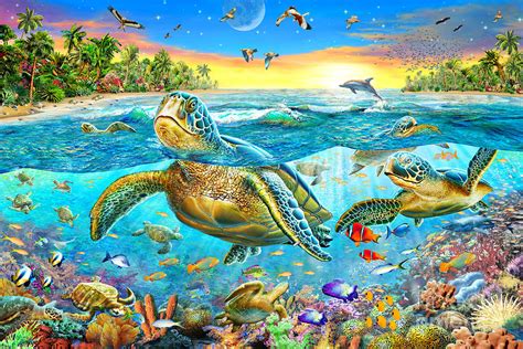 Turtle Cove Digital Art By Mgl Meiklejohn Graphics Licensing Fine Art
