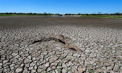 Animal's keepers and other groups they treat animals humanely especially donkeys when they are working and provide essential needs like food. Nestlé lawsuit claims food and beverage giant is illegally ...