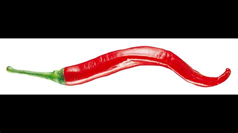 Hot Chili Pepper Sorting Raytec Youtube