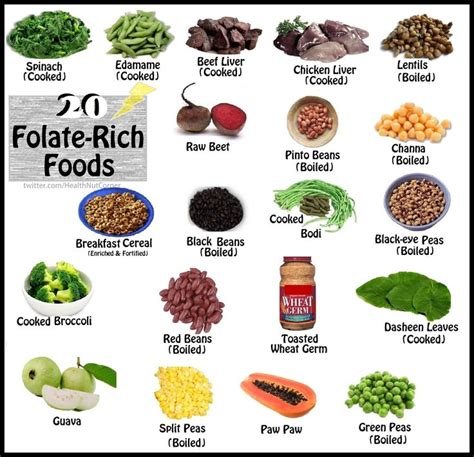 Top 20 Folate Rich Foods Folate Helps Build Red Blood Cells Eat Foods