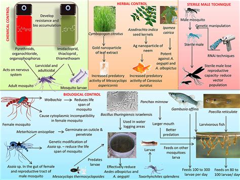 Frontiers Prevention And Control Strategies To Counter Zika Virus A