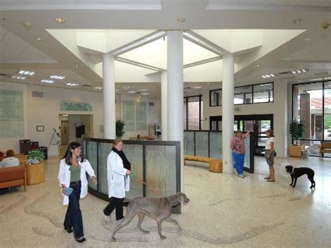 All pets vet clinic is located in lemont city of pennsylvania state. Veterinary Teaching Hospital Lobby - Picture of Washington ...