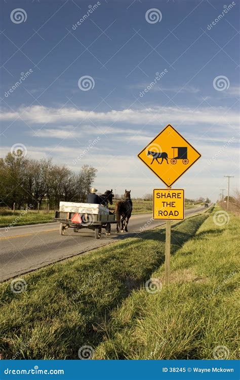 Share The Road Stock Image Image Of Animal German Culture 38245